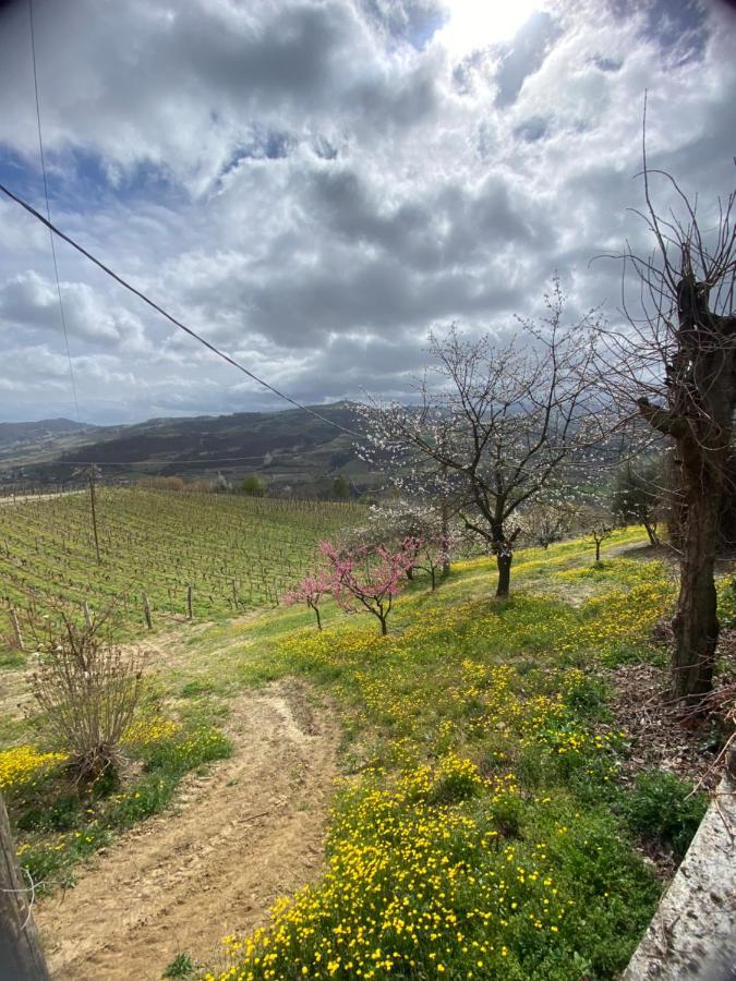 Agriturismo Pian Del Duca Vesime 外观 照片