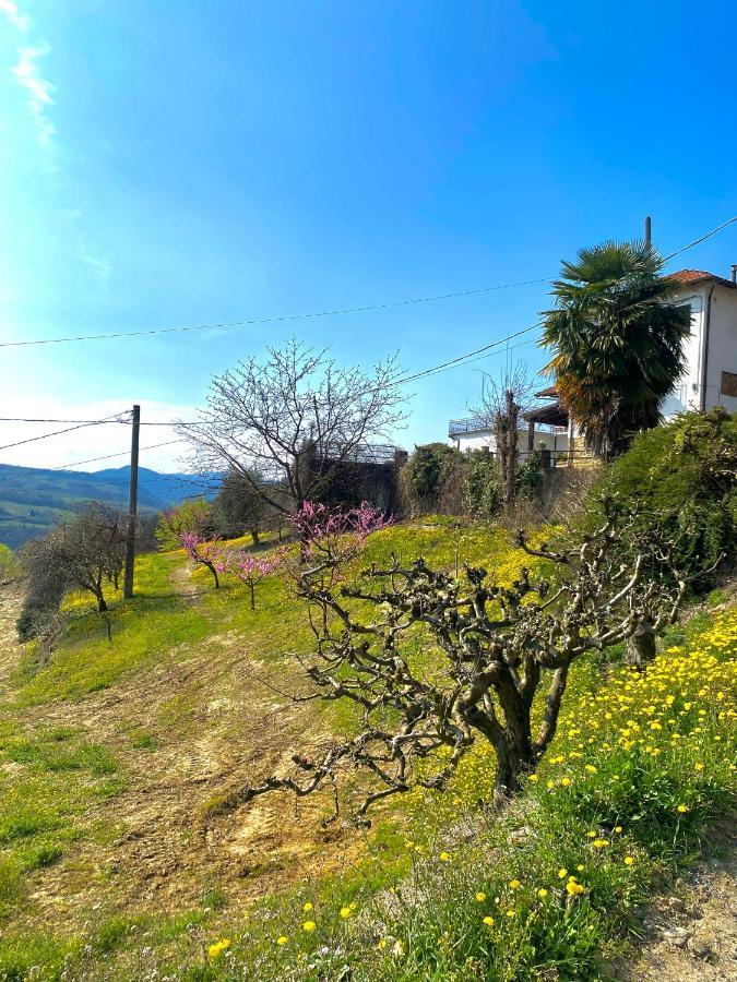 Agriturismo Pian Del Duca Vesime 外观 照片