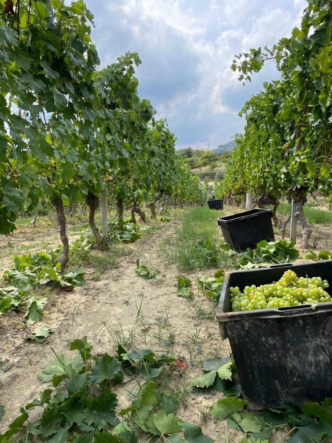 Agriturismo Pian Del Duca Vesime 外观 照片