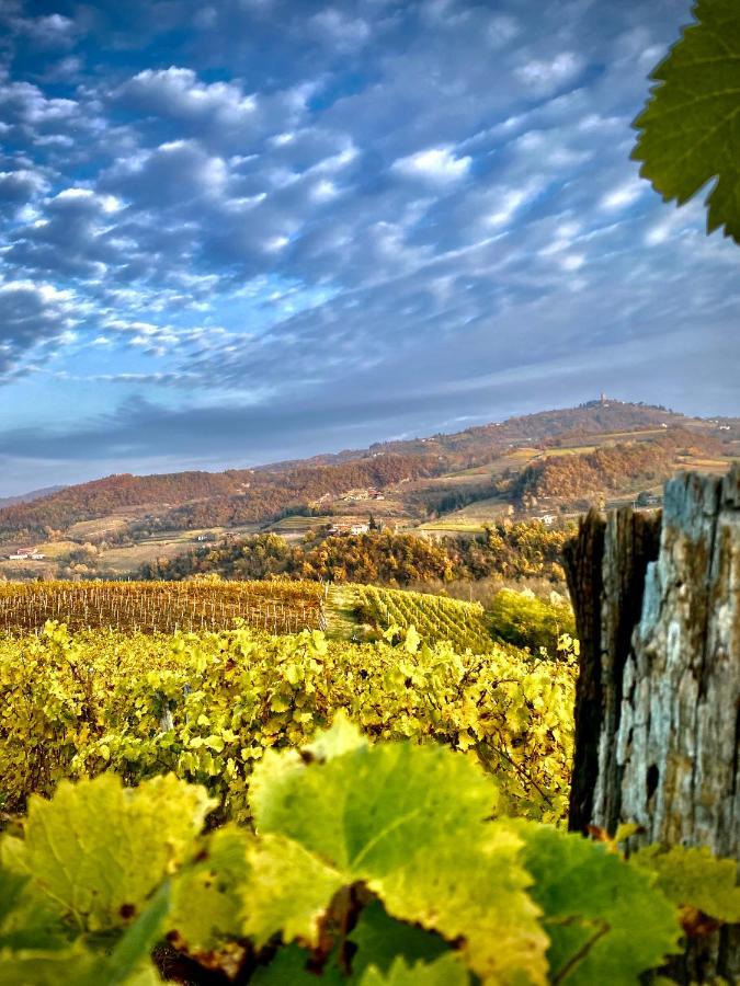 Agriturismo Pian Del Duca Vesime 外观 照片