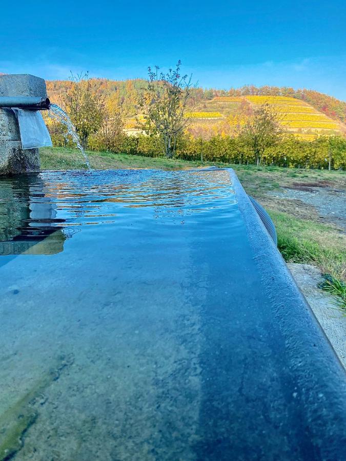 Agriturismo Pian Del Duca Vesime 外观 照片