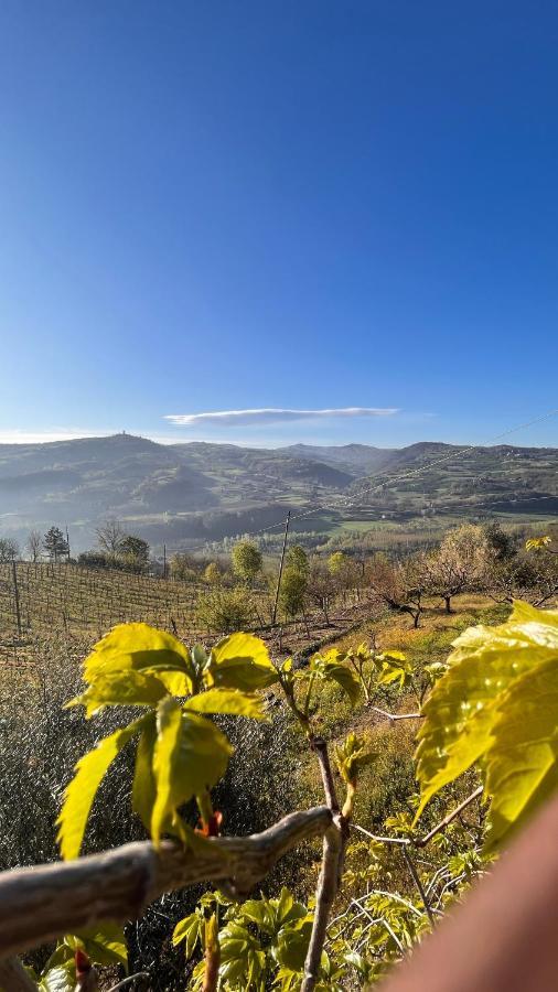 Agriturismo Pian Del Duca Vesime 外观 照片